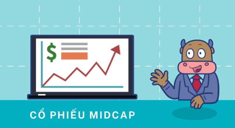 Cổ phiếu Mid-Cap là gì? Đặc điểm của Mid-Cap