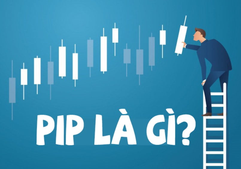 Pip là gì? Bật mí cách tính giá trị của Pip trong giao dịch Forex