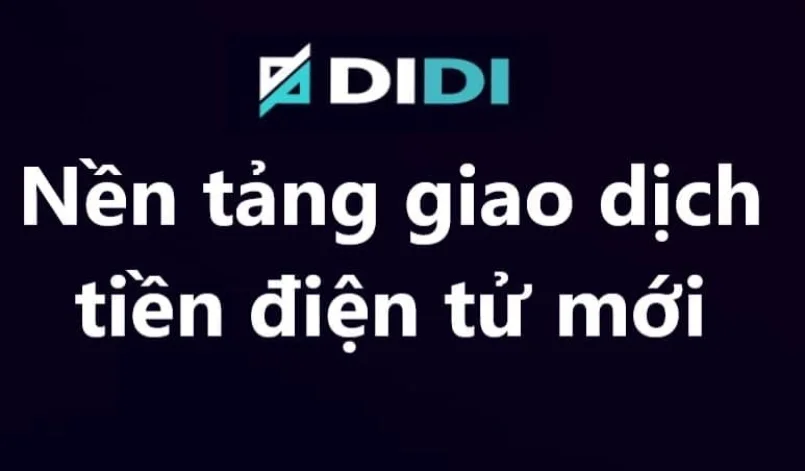Didi Biz là gì? Dấu hiệu về sàn Didi.biz lừa đảo