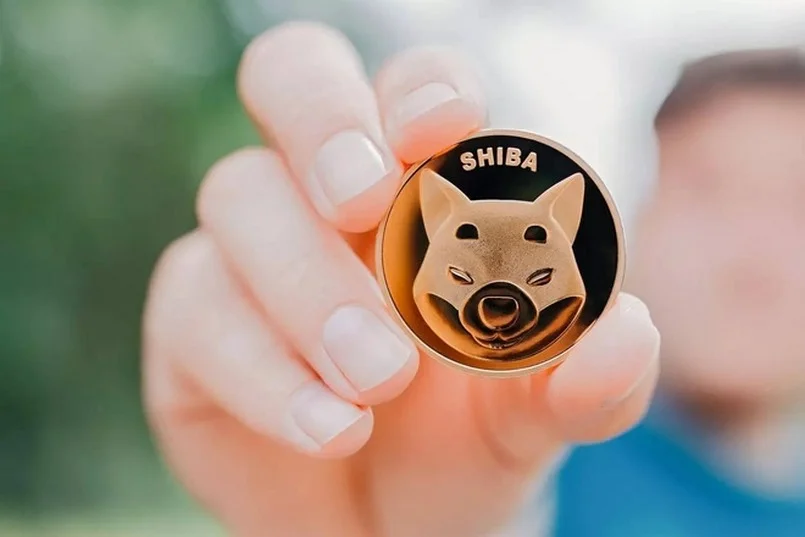 Dự đoán giá Shiba 2023? 3 Meme coin dự đoán sẽ tăng giá 10 lần